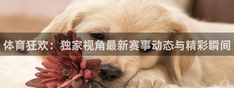 看球吧直播视频在线直播：体育狂欢：独家视角最新赛事动态与精彩瞬间
