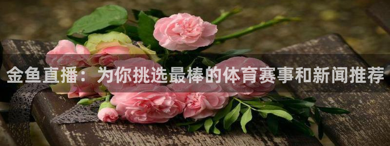 看球吧直播 在线观看：金鱼直播：为你挑选最棒的体育赛事和新闻推荐
