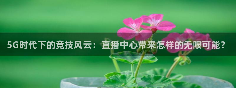 24直播吧 看球吧：5G时代下的竞技风云：直播中心带来怎样的无限可能？