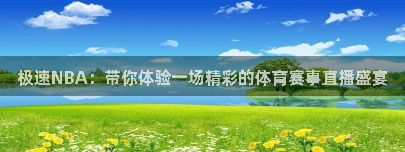 nba看球吧免费直播：极速NBA：带你体验一场精彩的体育赛事直播盛宴