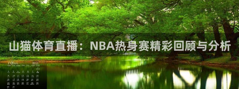 看球吧直播：山猫体育直播：NBA热身赛精彩回顾与分析