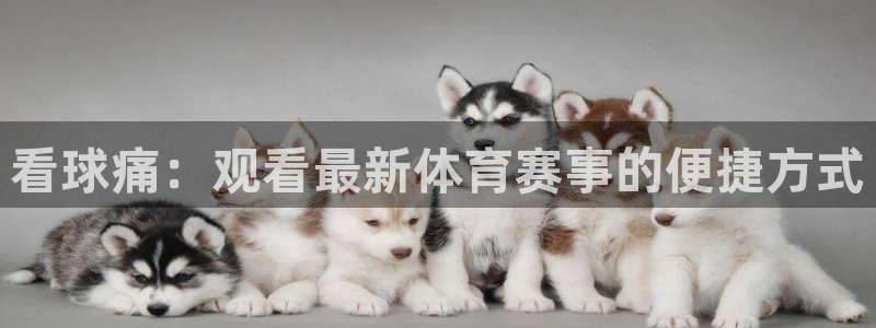 看球吧直播免费观看：看球痛：观看最新体育赛事的便捷方式