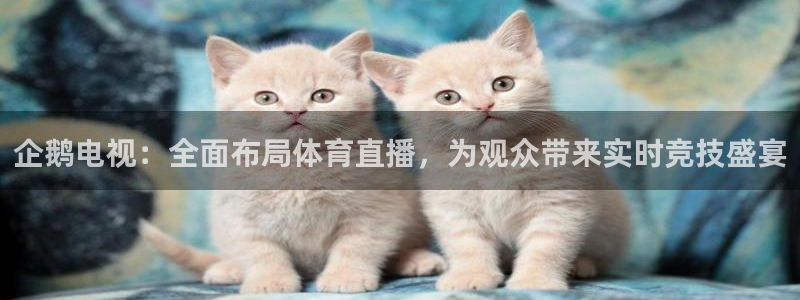 看球吧jrs直播：企鹅电视：全面布局体育直播，为观众带来实时竞技盛宴