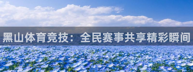 jrs直播看球吧：黑山体育竞技：全民赛事共享精彩瞬间