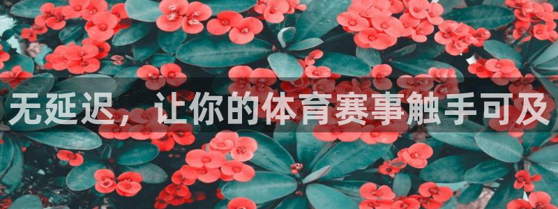 看球吧中超直播：无延迟，让你的体育赛事触手可及