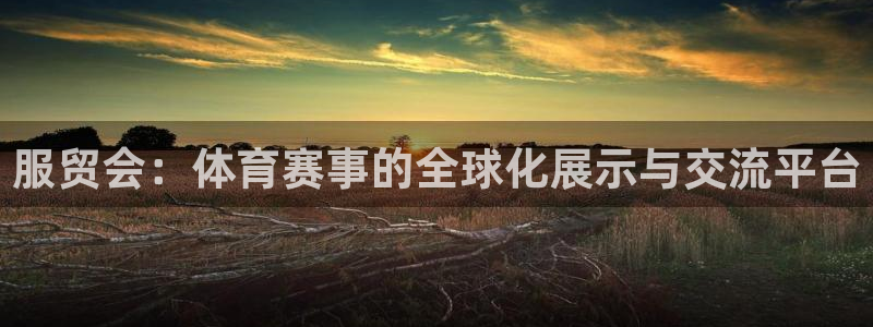 88看球吧直播nba：服贸会：体育赛事的全球化展示与交流平台