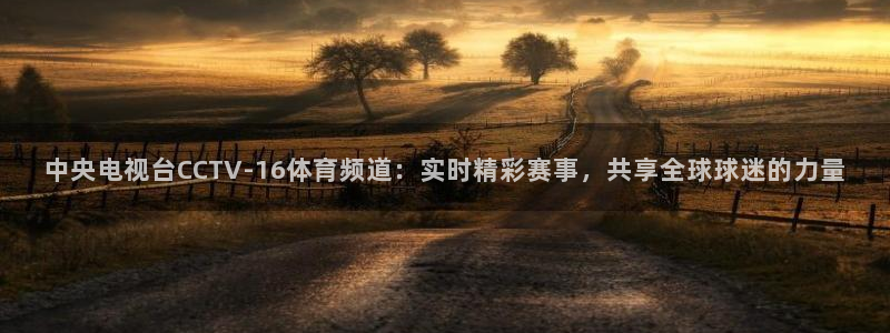 看球吧体育直播app：中央电视台CCTV-16体育频道：实时精彩赛事，共享全球球迷的力量