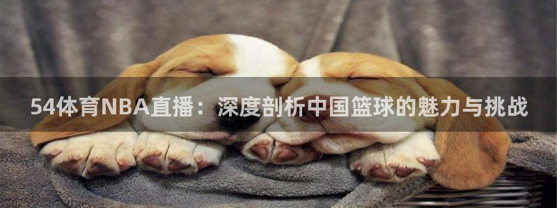 88看球吧直播：54体育NBA直播：深度剖析中国篮球的魅力与挑战