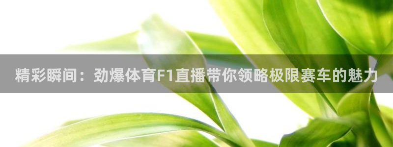 看球吧直播 在线观看nba：精彩瞬间：劲爆体育F1直播带你领略极限赛车的魅力