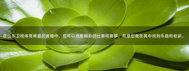 看球吧jrs低调直播nba：在山东卫视体育频道的直播中，您可以观看精彩的比赛和赛事。希望您能在其中找到乐趣和收获。